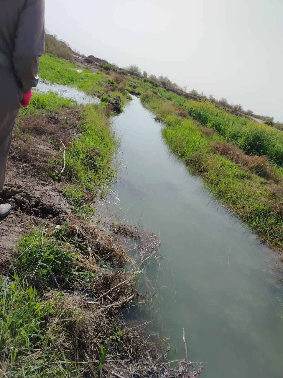 السلام عليكم يوجد دغل للبيع المساحه ٣٥دونم شعير وحنطه نثار السنه دغل خير من الله يرتع الشراي يتصل ***********
