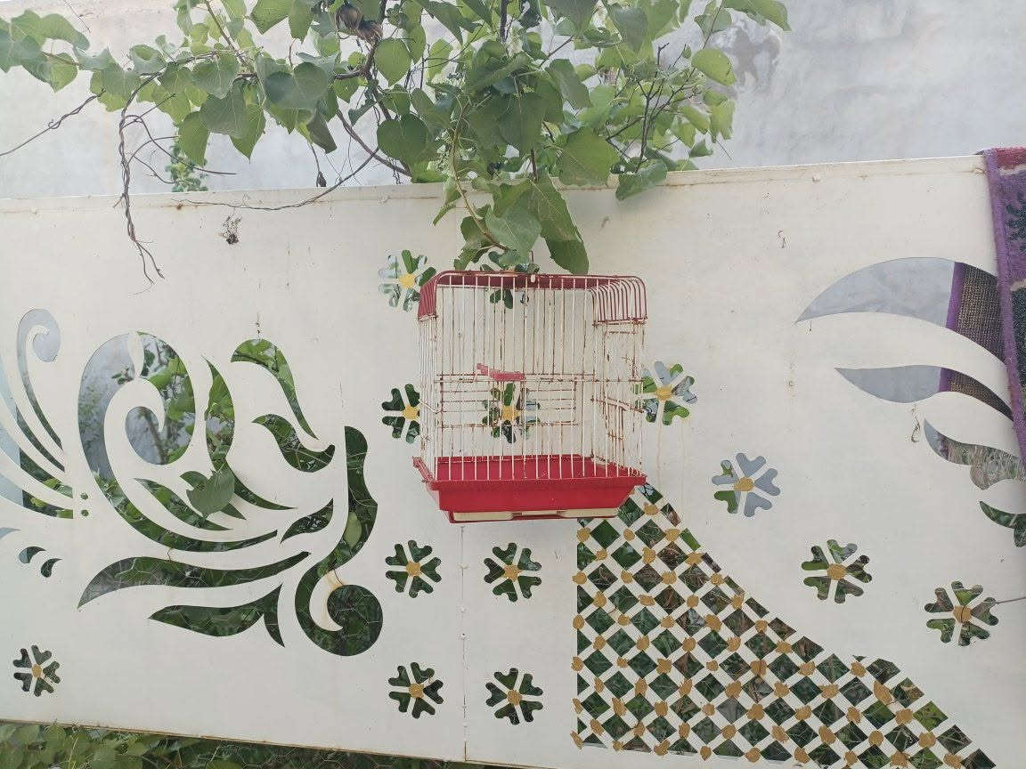 اقفاص للبيع 
***********
