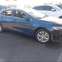 ماليبو LT • ٢٠٢٤ • كتاب شهداء