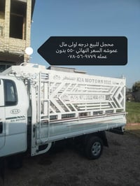 محجل • درجة اولى • الرمادي جويبه