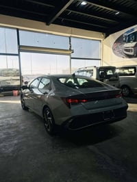 الانترا • ٢٠٢٥ • ضرر