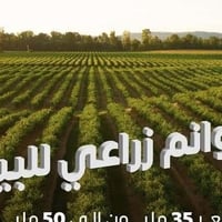 ابوغريب الزيدان • طابو زراعي • دونم ونص