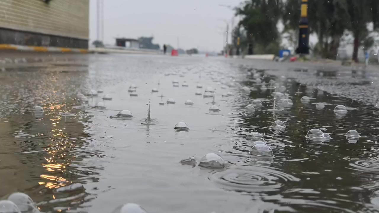ملك التصوير فيفو اكس٢٠٠ برو جهاز جديد لوك نسخه عالميه ذاكره ٥١٢ ملحقات مع ٣ كفرات بيع او مراوس السعر مليون مكاني بغداد الحسينيه


**إذا كنت صاحب هذا الإعلان وتريد حذفه لأي سبب، رجاءا أرسل رسالة إلى الدعم الفني**