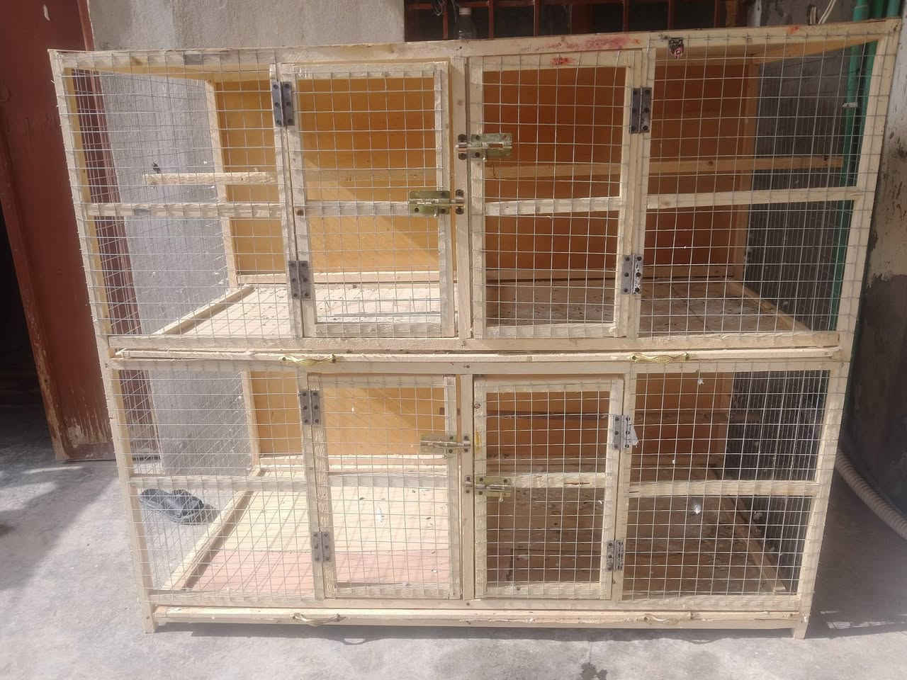 قفص البيع تزكام السعر 100 وبي مجال متواجد خاص


**إذا كنت صاحب هذا الإعلان وتريد حذفه لأي سبب، رجاءا أرسل رسالة إلى الدعم الفني**