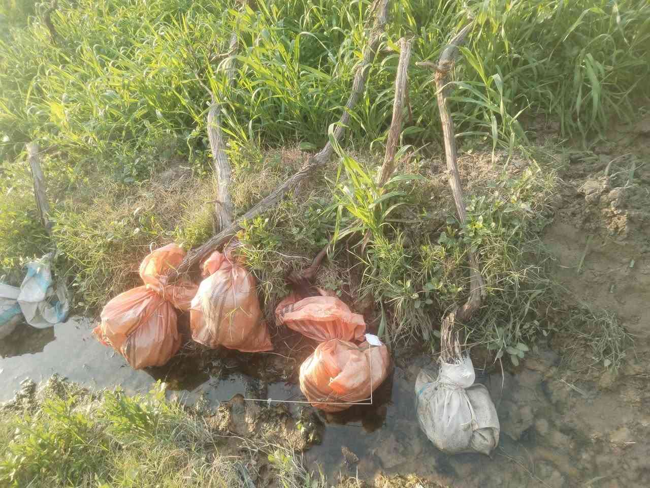 سلام عليكم متوفر هروش عنب اسود وابيض للبيع السعر خمسه الالف فقط  وبيه مجال اذا طلب كميه جبيره مجيس وجاهز كميه خير من الله   المكان النجف ابو صخير مراسله الصفحه او الاتصال ***********
