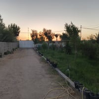 الزبيلية كربلاء • ١ دونم • بيت ٤ غرف