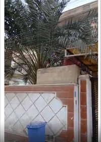 الجبيله • بيت للبيع • دورين جنينة وكراج