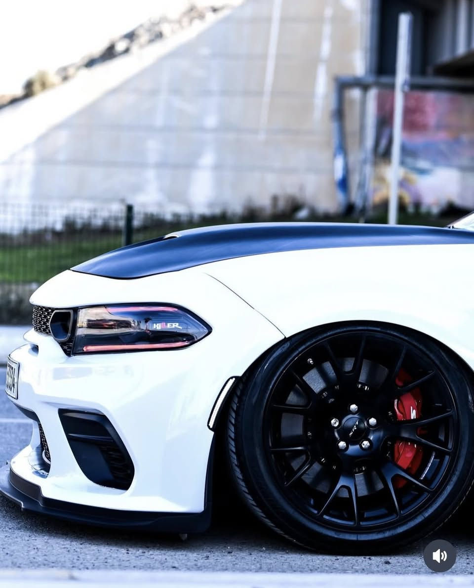 سلام عليكم 
تخم ويل نقشه الsrt
مال وايد بدي  
جديد سعره 12 ورقه 
***********  
مكان ديالى بعقوبه
