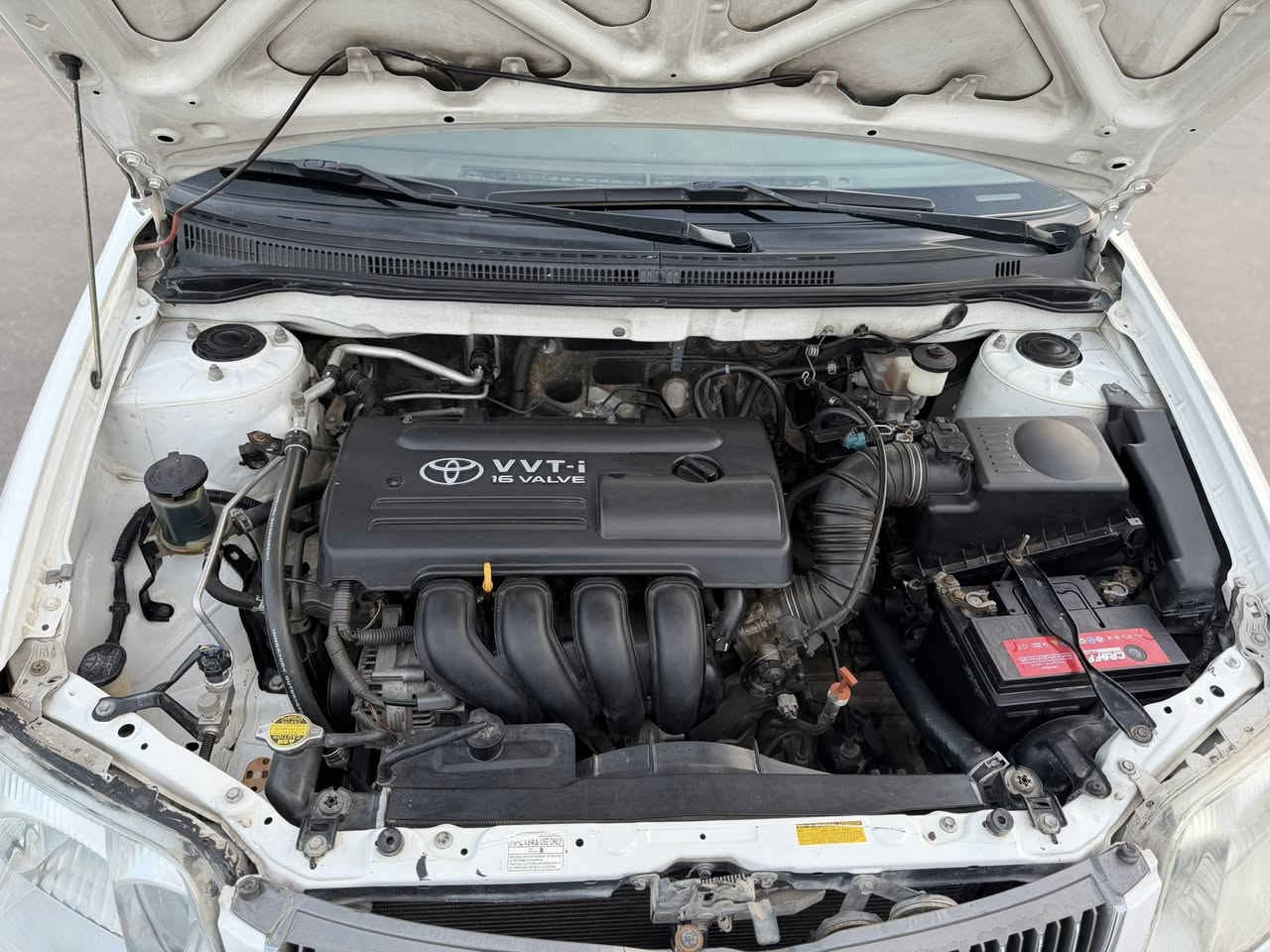 كورله بيكاتشو موديل ٢٠٠٧ رقم بغداد بسمنه سنويه جديده مكفوله كفاله عامه من الضربه والتبديل والصبغ ماشيه ١٣٨ على وضع الشركه مكينه ١٨٠٠ شرط مامفتوحه على الشركه حداديه لوك تبريد ثلج تخم تاير جديد فول كهربائيات سيارة جديده بمعنى الكلمه وجاهزه للخير  مواصفات ٤جام كهربائي دواخل صاج بلا جكتور مرايات كهربائي رمون وكيلو متر السعر ١١٥ مكان السياره ناصريه مركز


**إذا كنت صاحب هذا الإعلان وتريد حذفه لأي سبب، رجاءا أرسل رسالة إلى الدعم الفني**