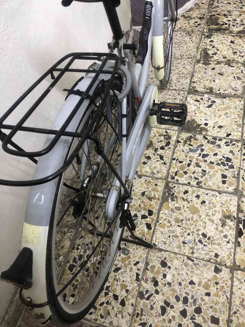 سعره ١١٥


**إذا كنت صاحب هذا الإعلان وتريد حذفه لأي سبب، رجاءا أرسل رسالة إلى الدعم الفني**