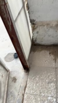 بيت للإيجار • شارع صفر • ١٢٥م