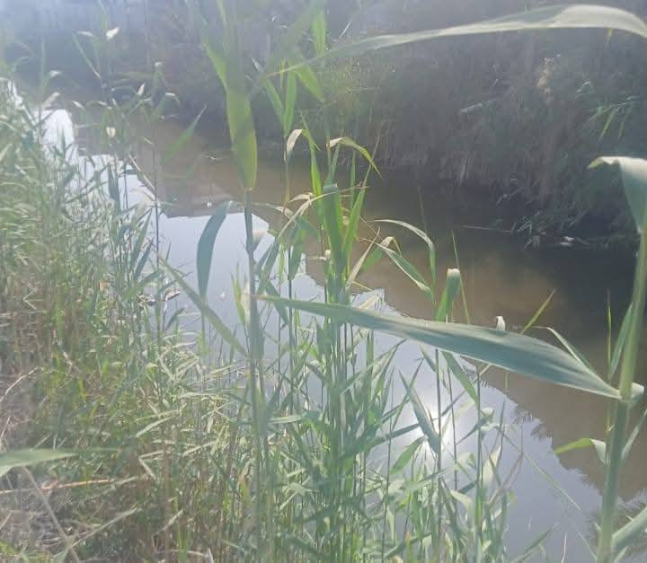 السلام عليكم قطعه للبيع مساحه 1075متر طابو زراعي يدخل اسمك سهم بالطابو مسيجه عله نهر وشارع تبليط عرض 10متر كل الخدمات متوفر وتحتوي عله عديد من  نخل بانوعه العنوان ابو الخصيب محيله تبعد عن الشارع السايدين تقريبن 500متر سعر260مليون وبي مجال قليل ***********
