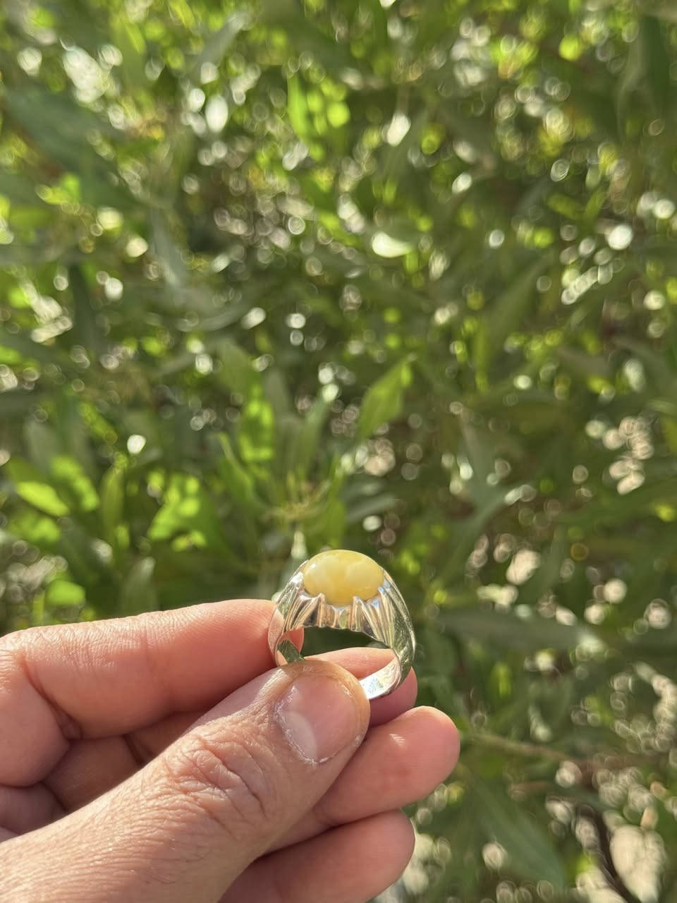 السلام عليكم
خواتم جديده غير ملبوسه صياغات ثقيلة واحجار اصلية غير معالجه، ملاحظه (بيع فقط) للاستفسار اتصال او واتساب ***********
