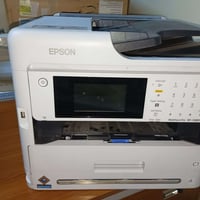 ابسون • ناصريه حي شهداء • جديده