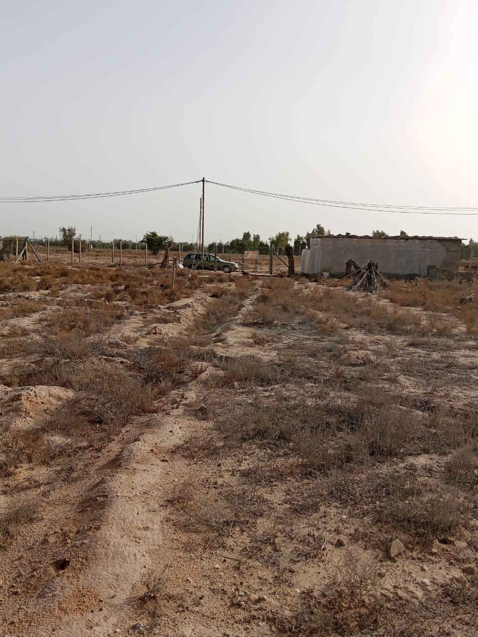 دونم اللبيع عمود ١٩٥ 
الشراي يتصل على هذا الرقم ***********
***********
