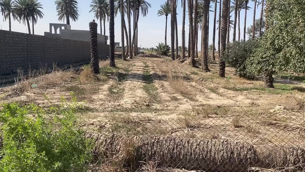 سلام عليكم متوفر دوانم طابو صرف حجه سوده   كامل خدمات تبليط ماء كهرباء موقعهن كلش حلوه  
وينباع حس طلب 
الموقع سريع جديد دوره وسفيه منطقت الزنبرانيه  
وتساب 06813720989


**إذا كنت صاحب هذا الإعلان وتريد حذفه لأي سبب، رجاءا أرسل رسالة إلى الدعم الفني**