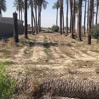 دوانم • طابو صرف • الزنبرانيه