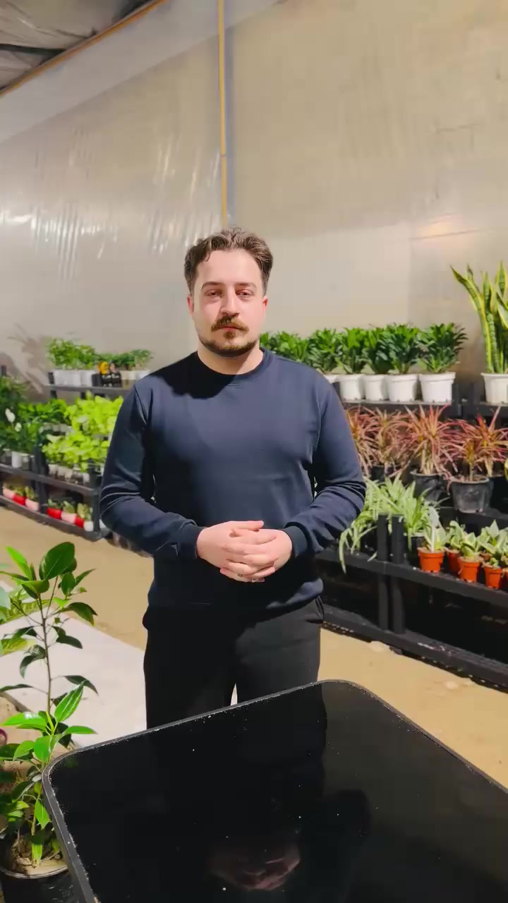 العرض الاول بمناسبة الافتتاح 💐
زورونا في فروعنا 
الفلوجة - شارع 40 - مقابل سنتر ملامح
الفلوجة - السوق العصري
***********9
