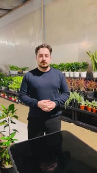 عرض افتتاحي • الفلوجة • شارع ٤٠