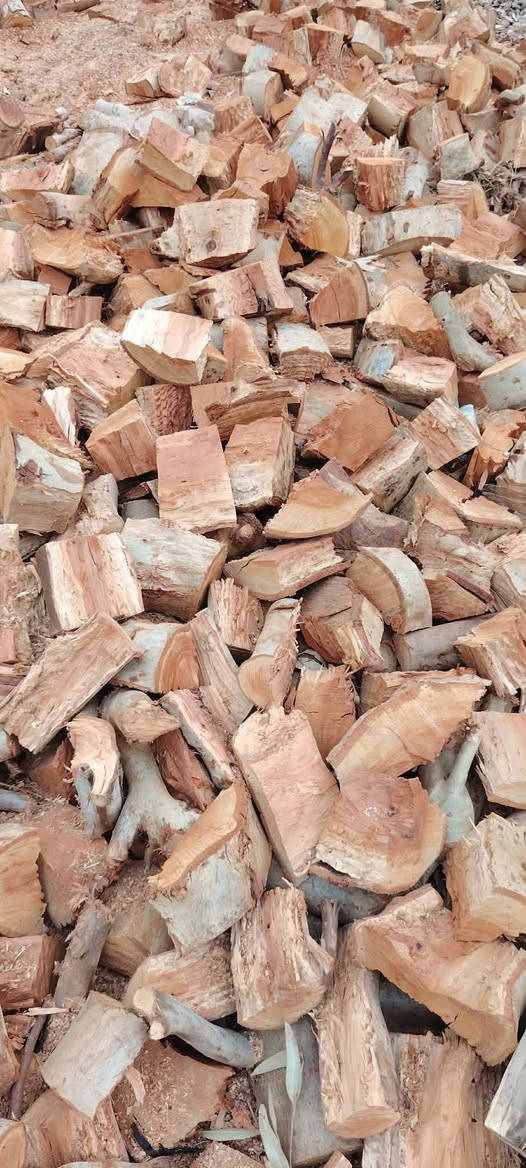 حطب للبيع   كالبتوز  وياه شي قليل مخلوط مكيس الكيس ب4500وبي مجال عدي 170كيس


**إذا كنت صاحب هذا الإعلان وتريد حذفه لأي سبب، رجاءا أرسل رسالة إلى الدعم الفني**