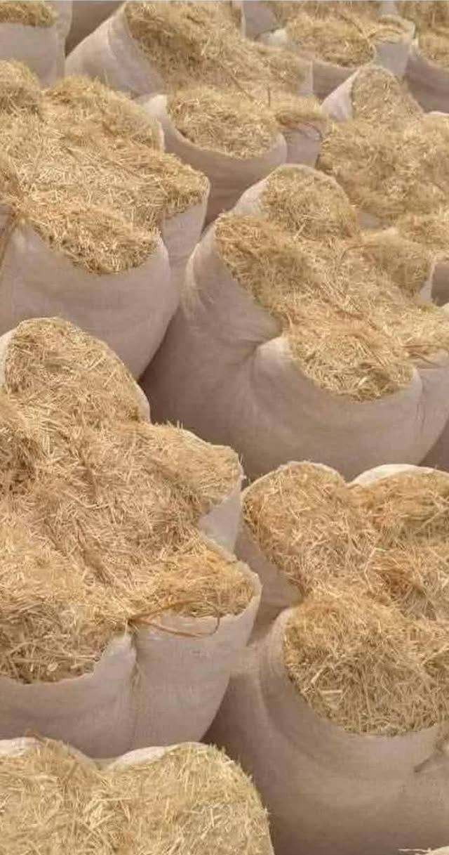 سلام عليكم ورحمت الله وبركاته جميعًا اخوتي العزاز تبن للبيع درجه لا ولا رقم الجوال موجود *********** للبيع ناعم كلش
