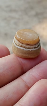 الجزع اليماني • انسي حر • تواصل خاص