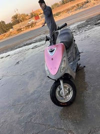 ماكس منغولي • بوشة 49 • كربلاء طويريج