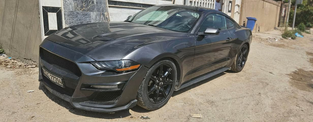 محبين الگير العادي وترجيع النمر يدوياً وعصبياً 🕹 🙋🏻‍♂️

فورد موستنك ايكو بوست موديل 2020 (كير عادي)
مكينه 2.3 توربو 310hp ماشيه 53 الف ميل  

السياره جديدة كلش على وضع الشركه برغي ممفتوح بيها

المواصفات 🔰

عليها لويات ريسنك + دبلات ريسنك من امريكا + عطاس تيربو و دعامية شيلبي + قماره اسود بلادي

شاشه صغيره بصمة كامرة
مكينة (2300) توربو بانزين كله سوبر و دهن اصلي 
السياره جاهزه و كلش قويه و بالحقيقه احلا من الصور

رقم اربيل الجديد باسم شركة تريد تحويل تريد وكاله 
كلير جاملغين وبنيد صبغ بدون دواخل بدون لغد ولا شاصي
ايرباك ستيرن فقط …
للاستفسار 
*********** حلة, بابل
