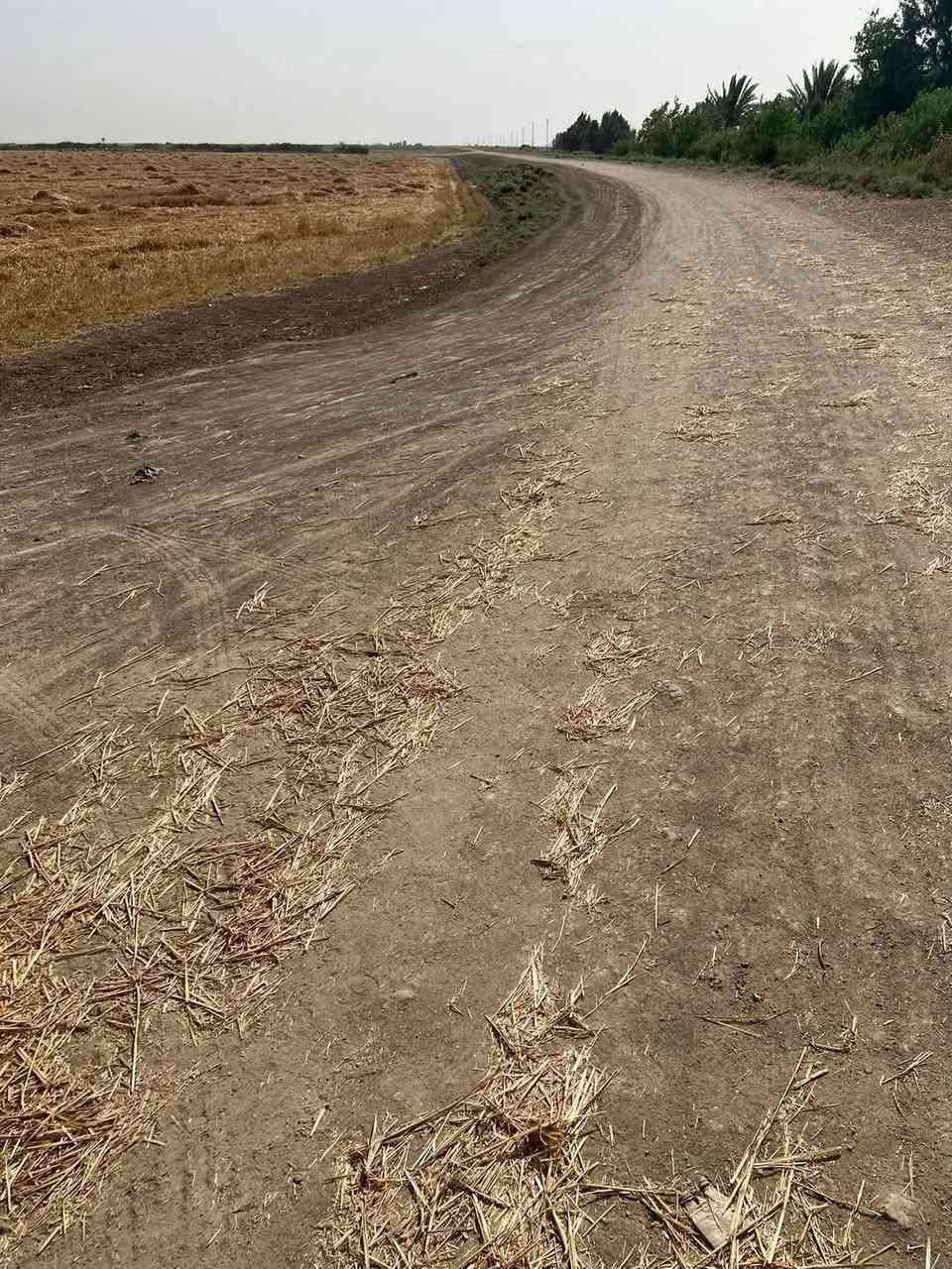 سلام عليكم ارض زراعه 10دونم طابو زراعي سند25طابو تحويل ثاني يوم تربه درجه اولى حصى مائيه ماء اسأله كهرباء مدارس كافت الخدمات تبعد عن الشارع 300متر سعر الدونم الواحد 11مليون وبيهه مجال ال طيبين العنوان قضاء الصويره بدعت حمد ***********\\***********
