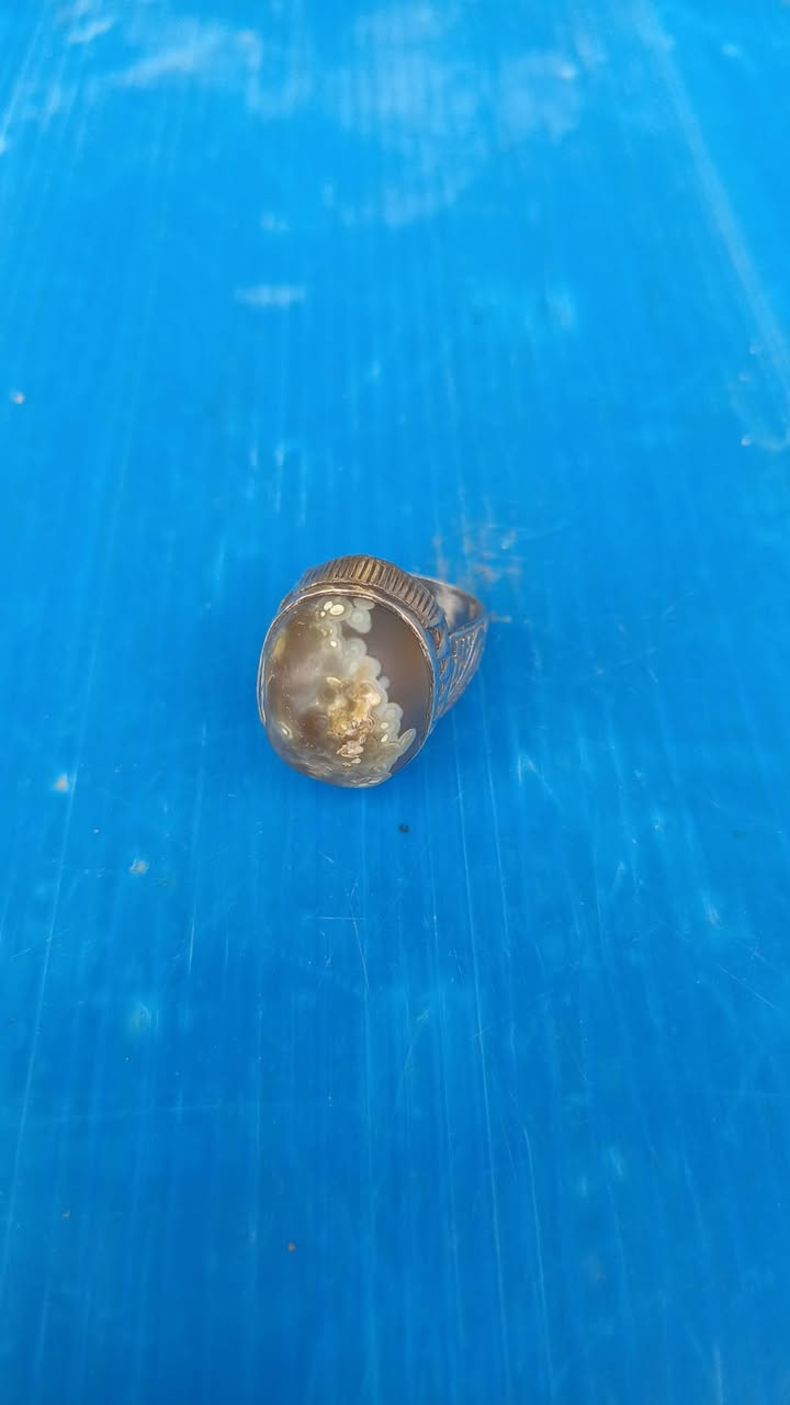 ياقوت زفير حجر سلاطين 

بقري وسليماني 2   السعر 200

المكان بغداد المعامل الحسينيه 

الرقم ‏‪***********‬‏
