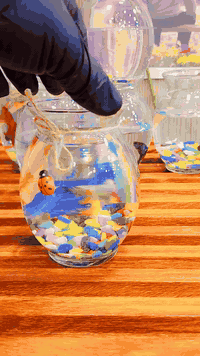 هدايا 🎁 2026 #مجمع_الشروق_كلشي_رخيص   المفضل الك❤️🫶🏻🥺 للحجز والاستفسار...