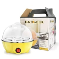 سلاقه بيض • حجم كبير • الديوانيه