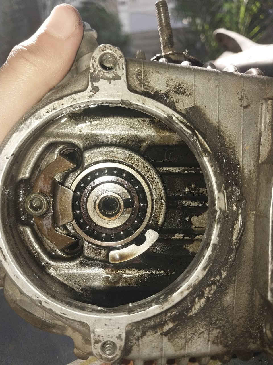 السلام عليكم كور بصمه تي تي مارك للبيع
الكور شغال جيب و شد بس بي ضعف بالولفات و الباقي شوفت عينك قيم وخذ للتواصل خاص مكاني بغداد ملاحظه جان مشدود بسكنس شغاال


**إذا كنت صاحب هذا الإعلان وتريد حذفه لأي سبب، رجاءا أرسل رسالة إلى الدعم الفني**