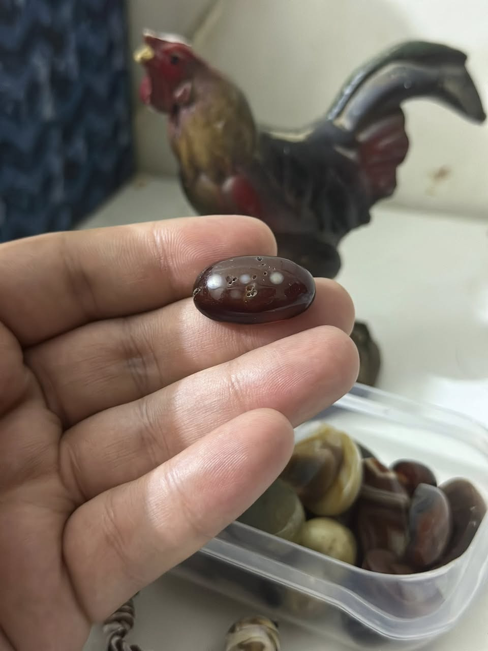 بسعر الجمله 
سلماني 
من النوادر 
واحد على واحد
احمر عيون صافيه


**إذا كنت صاحب هذا الإعلان وتريد حذفه لأي سبب، رجاءا أرسل رسالة إلى الدعم الفني**
