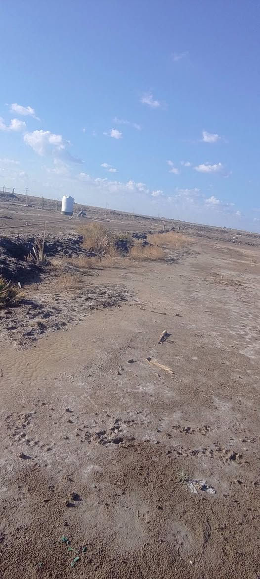 سلام عليكم 
 
نصف دونم البيع قرب قريت المدور بيه نخل 30 نخله

وصله كهرباء وماء شارعه سبيس السعر تصل  ***********
