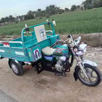 ستوته • ٢٠٢١ • وراق اصولي