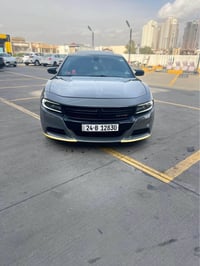 اكس تي بلاس • ٣٦٠٠ • بدون صبغ