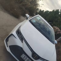 كورله ٢٠٢٤ • شكل الخليجي • مكفولة