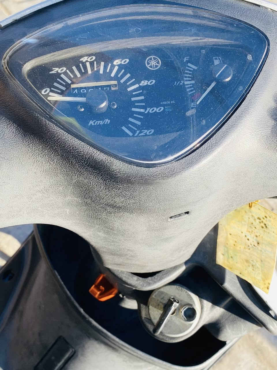 ماكس عدله كفاله عامه مراوس بسكنز جبلي ✨🤍واطي فرق كون نضيفه


**إذا كنت صاحب هذا الإعلان وتريد حذفه لأي سبب، رجاءا أرسل رسالة إلى الدعم الفني**