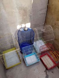 اقفاص • للبيع • ٣٠قفل