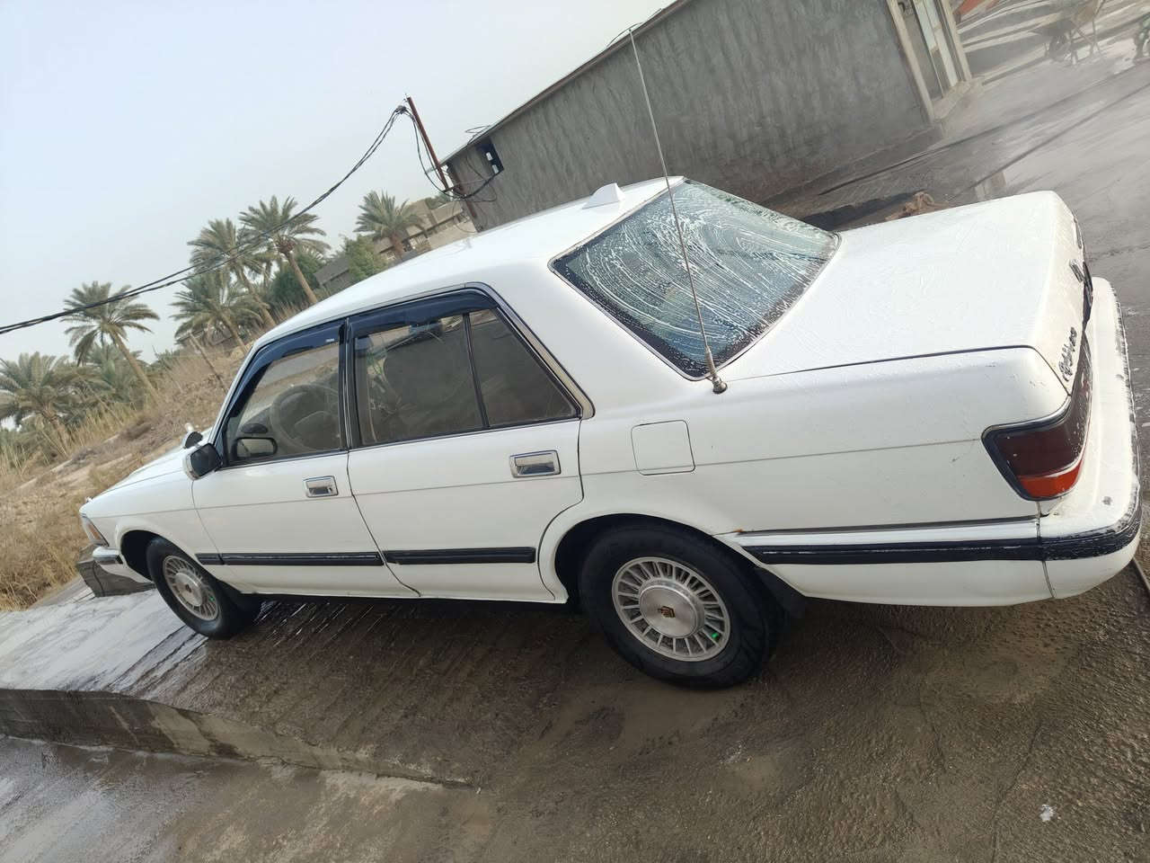 السلام عليكم سيدان للبيع مكفوله من ضربه مكينه وكير وحداديه خير من الله تبريد ثلج 🥶 مكينه مال بطه2500 كهربائية كله شغال صبغ اللجماليه سياره جاهزه من كلشي رقم بغداد نكليزي سنويه 2030 السعر 59 وبيه مجال بسيط تصال عل رقم مكاني بابل سياره مال جناي جاهزه
***********
