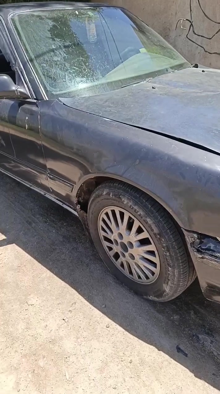تحويل ١٩
*********** واتساب
