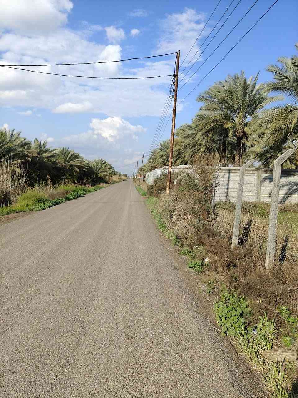 يوجد دونمين و600 ملك طابو صرف الوجه 37 ونص ونزال 150 مي اساله كهرباء مي سقي في بغداد المدائن شارع سيد علي الاستفسار‭0774 293 4494
