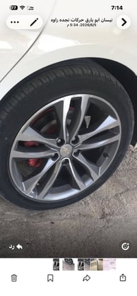 ويل بريمير • مقاس ١٩ • مراوس بويل ١٧