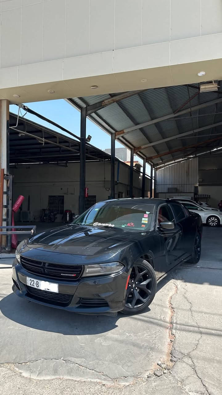 للبيع…
چارجر sxt 
موديل 2019
وارد كندي 
كلين تايتل 
مكفوله كفاله عامه من صبغ وبارد وگير ومكينه وكلشي سياره ع وضعها البلادي !!
ماشيه 92 الف كيلو….
مواصفاتها 
شاشه وسط 
كشن سايق كهرباء 
بدون فتحه 
وباقي مواصفاتها المعروفه
رقم شمالي اربيل
السعر 225 وبي مجال
مكاني تكريت 
الرقم:***********
