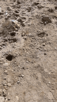 السلام عليكم قطعة أرض للبيع مساحة 200متر موقعه تجاري منطقة 12الثانيه سعره 65وبيه مجال الاستفسار الاتصال على الرقم ***********
