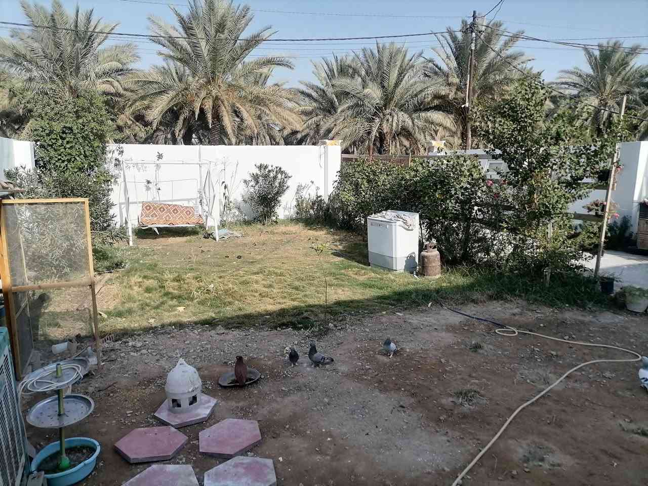 بيع او مراوس
(صاحب الدار) لا مكتب ولا مروج (مراوس يرهم) 
دار 500متر سند 25 ركن للبيع طابق ونص 3غرف نوم وصاله واستقبال ومطبخ وصحيات داخليه وخارجيه تحت البناء 180متر البناء بلوك السقف صب كونكريت
مكان كربلاء الحر قرب مدرسة الحسام
*********** واتساب
*********** يباع مع الأثاث
