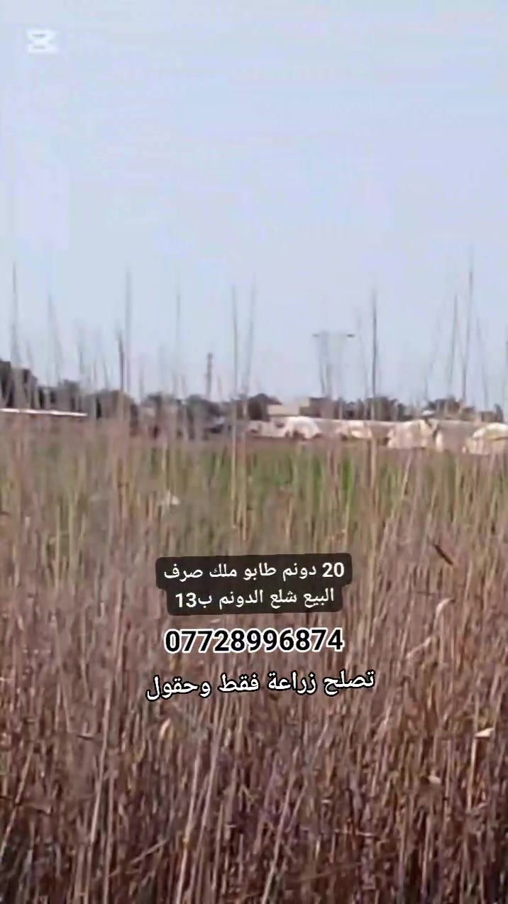 20 دونم طابو ملك صرف البيع شلع الدونم ب13

***********
