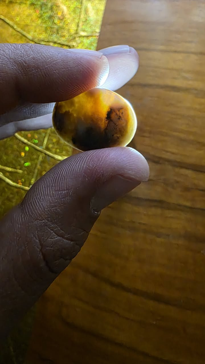 حجره سليمانيه مصوره ذيب واضحه جدن للبيع مكاني بغداد مدينه الصدر توصيل لا يوجد


**إذا كنت صاحب هذا الإعلان وتريد حذفه لأي سبب، رجاءا أرسل رسالة إلى الدعم الفني**