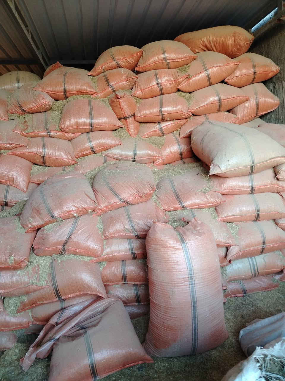 السلام عليكم تبن للبيع تبن درجة اولى زواج 7الف الاستفسار ***********اسيا ***********
